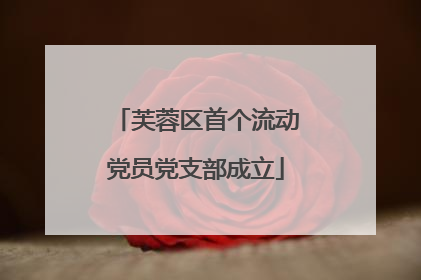 芙蓉区首个流动党员党支部成立